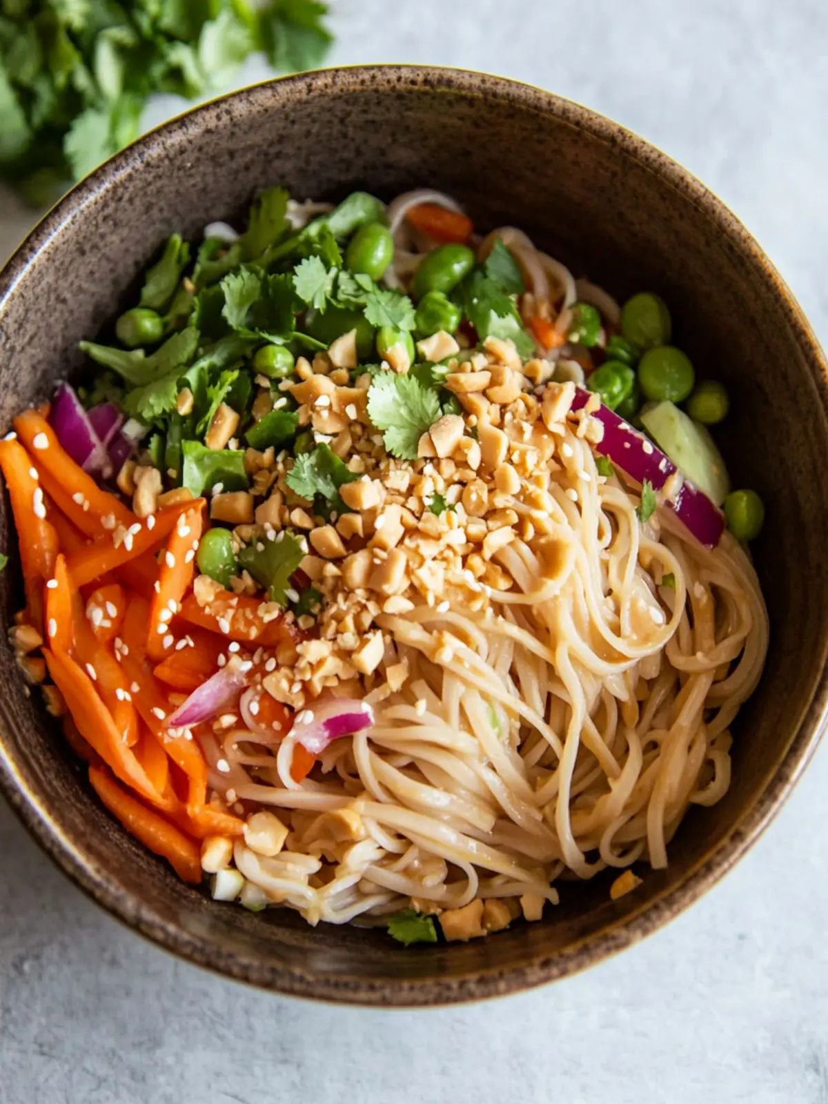 Thai Peanut Noodle Salad: Fresh, Fast, and Flavorful Delight 2 Thai Peanut Noodle Salad